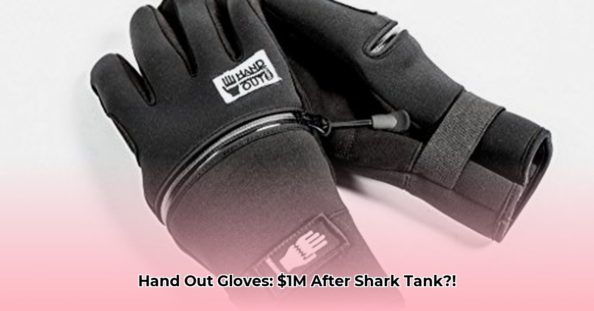 hand-out-gloves-net-worth